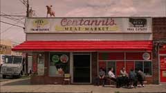 Centanni's