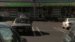 Italianissimo/Wild Bird Center