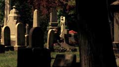 Cemetery (4x11)